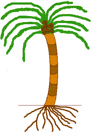 Organization as a large mature tree